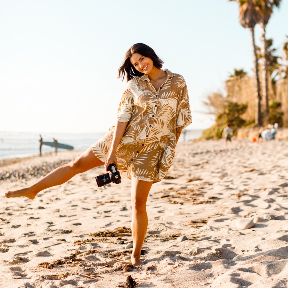 Amuse Society Shirt Dress